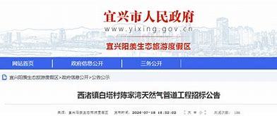 宜興西渚鎮網站建設揭秘 以高塍鎮人民政府網站為例看2025年政務數字化新趨勢