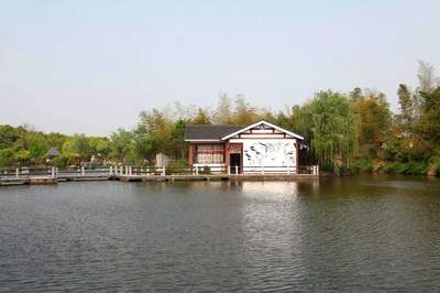 宜興西渚鎮網站建設揭秘與高塍鎮人民政府網站2025年2月焦點解析